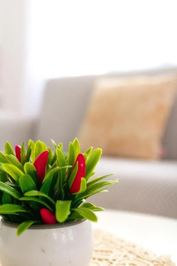 Casa Paca - Your Private Oasis In Lanzarote - Paradise By The Sea Playa Blanca  Playa Blanca (Lanzarote)