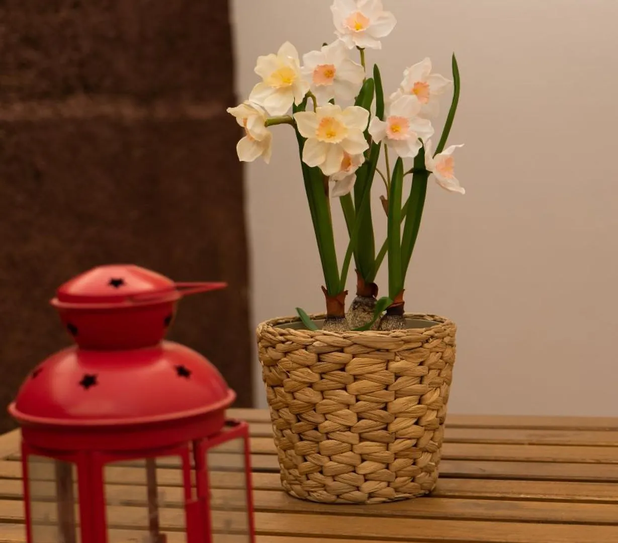 Casa Paca - Your Private Oasis In Lanzarote - Paradise By The Sea Playa Blanca
